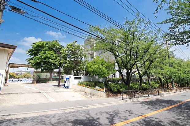 川崎市立白鳥中学校まで約1603ｍ