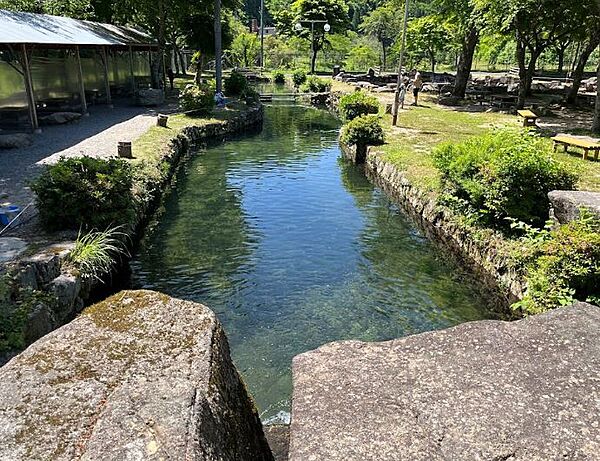 大暮養魚場