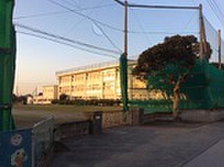 中学校「木更津市立金田中学校まで975m」