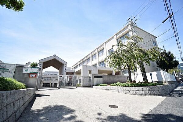 画像7:【小学校】神戸市立魚崎小学校まで481ｍ