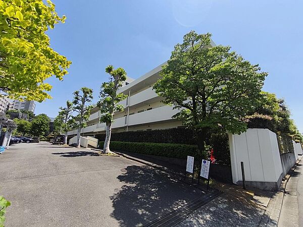 目黒線、大井町線、池上線と複数路線が徒歩圏内の便利なエリア。低層住居専用地域内に位置する３階建ての低層マンションです。