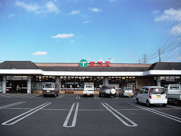 画像22:【スーパー】（株）TAIRAYA 川島店まで580ｍ