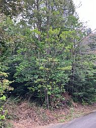 静岡県浜松市浜名区引佐町川名