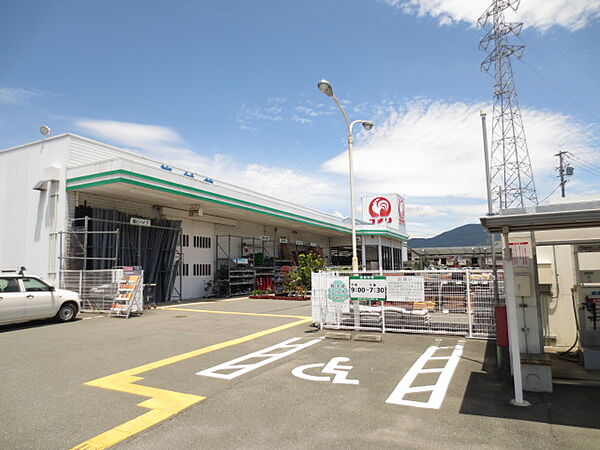 コメリハードアンドグリーン三ヶ日店（1300m）