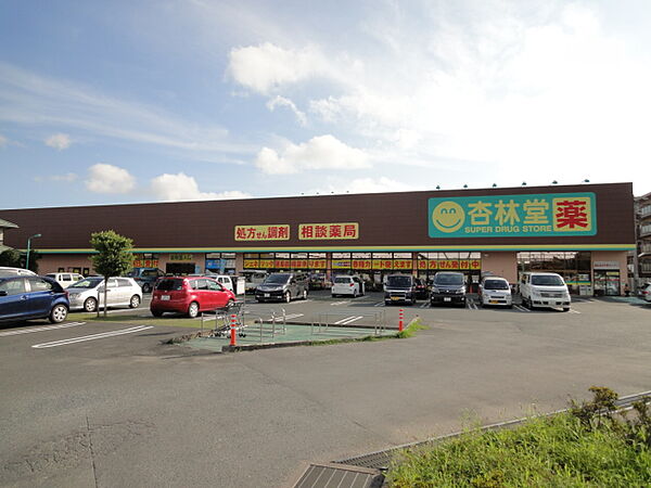 杏林堂薬局　姫街道店（983m）