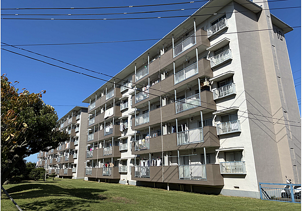 外観：314002663206