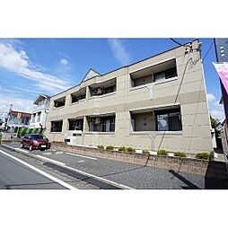 キャピタル　パイン