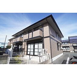 グレースコート