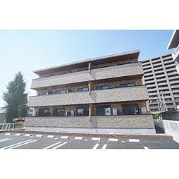 サーファ　前橋