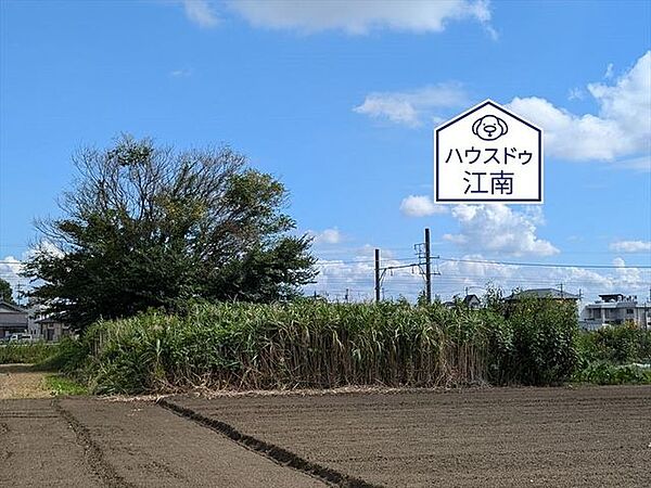 2024/10/6撮影