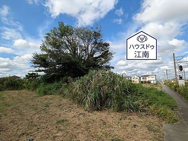 2024/10/6撮影