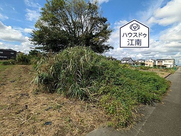 2024/10/6撮影