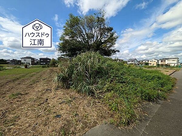 2024/10/6撮影