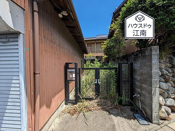 2024/6/10撮影