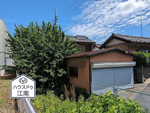 2024/6/10撮影