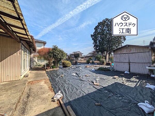 2025/3/10撮影