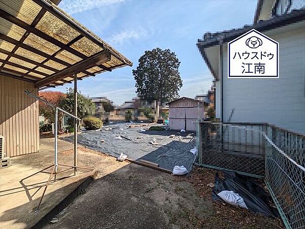 2025/3/10撮影