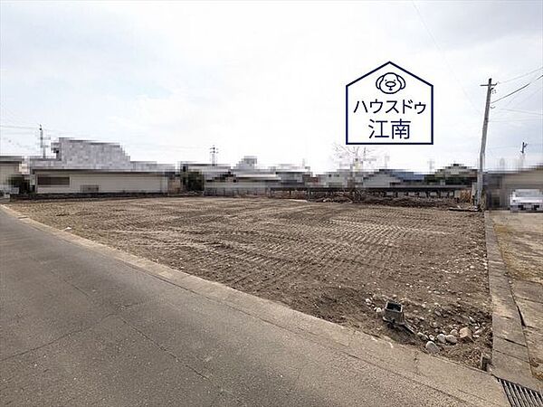 全体2026/2/6撮影