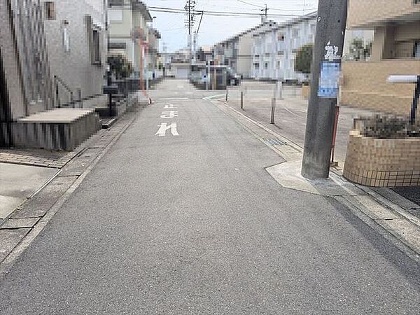 2026/3/22撮影