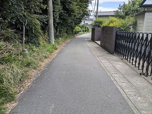 2026/7/26撮影