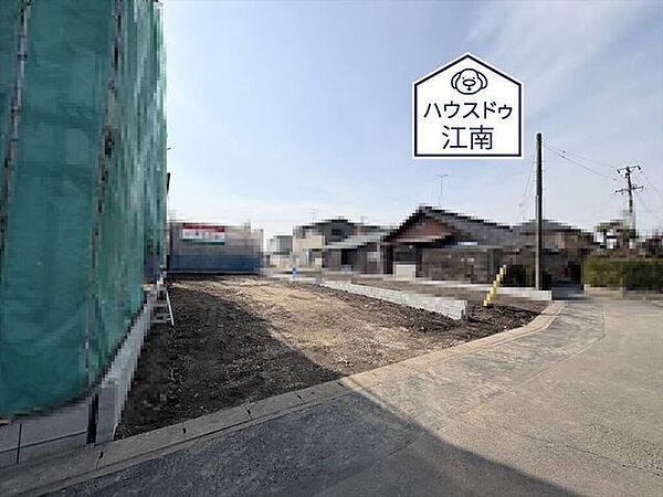 全体2026/2/6撮影