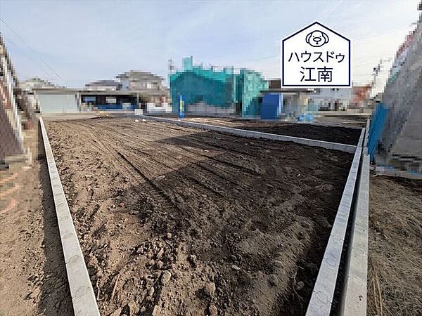 全体2026/2/5撮影