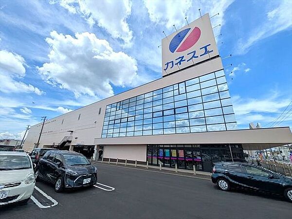 カネスエ江南高屋店 620m