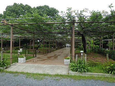曼陀羅寺公園 310m