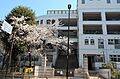 新宿区立四谷第...