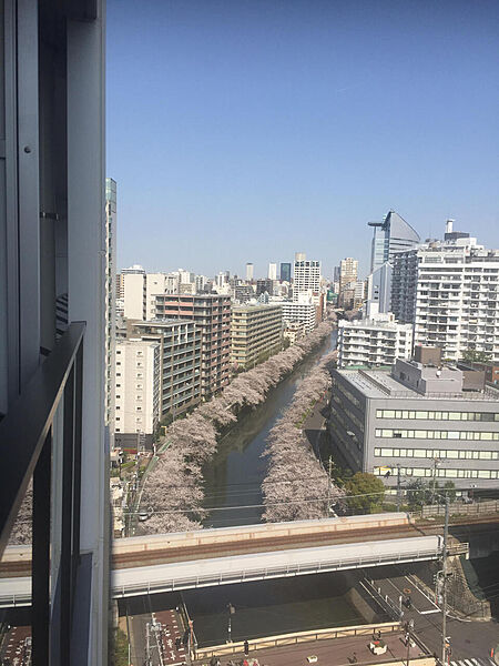 春には目黒川の桜を眼下に望めます。都会と自然が調和した美しい景色です。※眺望は将来にわたって保証するものではありません。