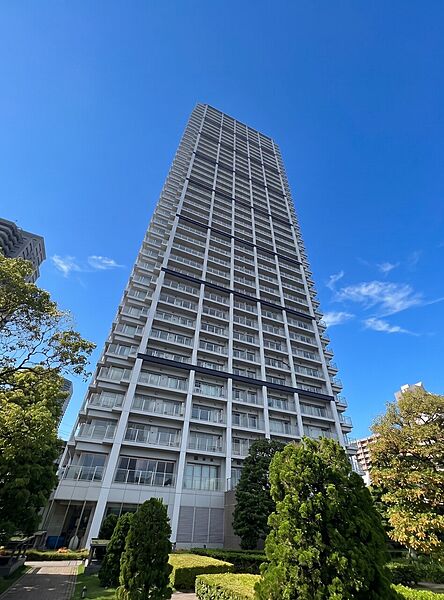 外観：313004779212