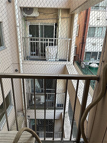 2026年6月撮影