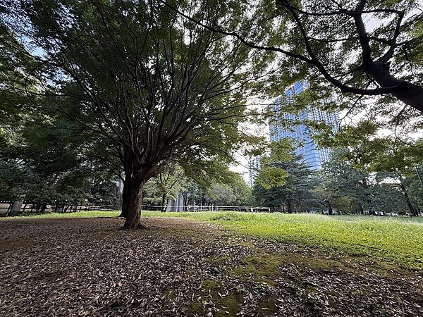戸山公園。マンションの南側に隣接しています。四季折々の自然を感じながら散歩を楽しめます。夏季には、じゃぶじゃぶ池がオープンし、未就学児のお子様と水遊びを楽しめます。