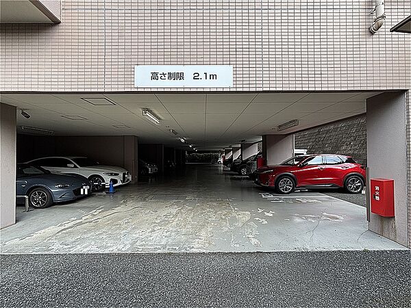 2026年8月撮影