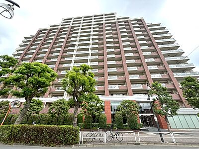 外観：総戸数419戸、地上18階建の大規模マンション。東武鉄道東上線「ときわ台」駅まで徒歩8分。「池袋」駅までスムーズにアクセスでき、通勤・通学やお出掛けにも便利です。