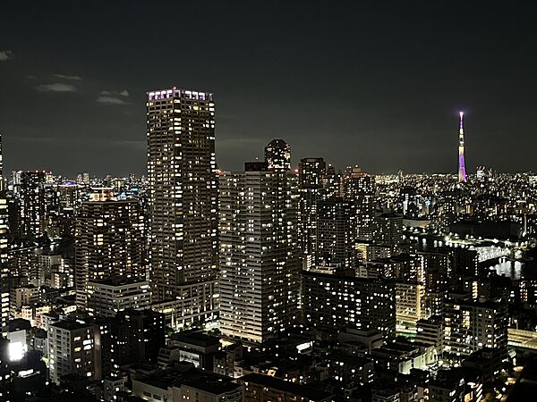 現地からの眺望（2026年7月）撮影