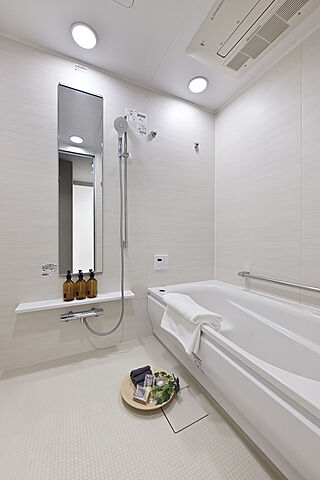 浴室 パークタワー晴海 30階/-