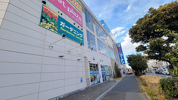 【コーナン川崎小向店】徒歩7分。営業時間は9:30～21:00です。ペットプラザ川崎小向店も併設されています。HPではお得なチラシ情報を見ることができます。