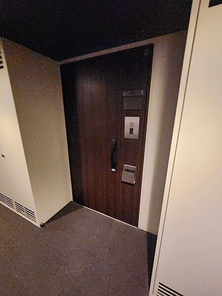 【玄関】重厚感のある玄関ドアが採用されています。複数のセキュリティシステムが採用された、安全性、防犯性にも配慮されているマンションです。