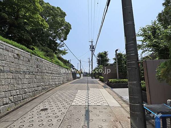 敷地の北側前面道路（西側から）