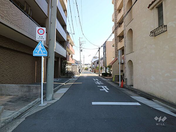 敷地南側の前面道路（西側から）