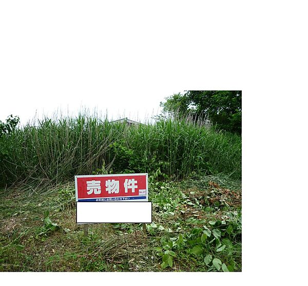 外観：325000128394