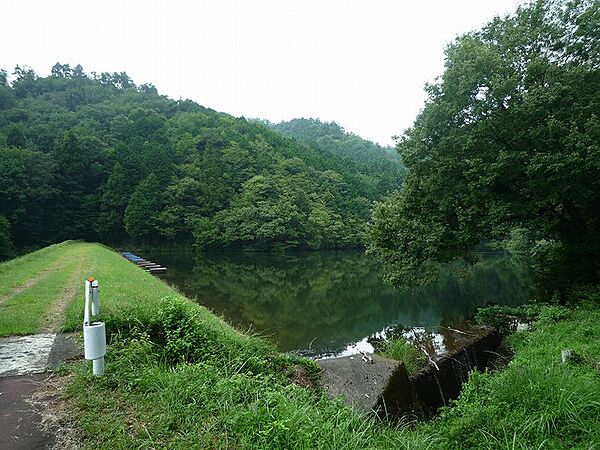 釣り池