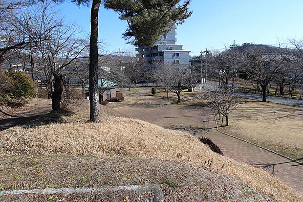 足利公園(903m)