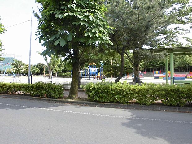 有楽公園（455m）