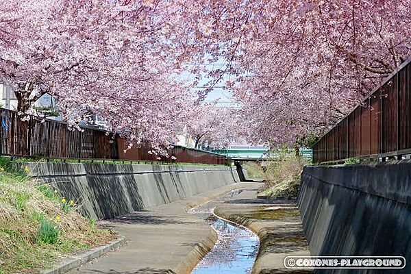 桜新町北小緑地まで955m