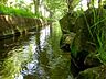 周辺：千川上水緑道まで531m
