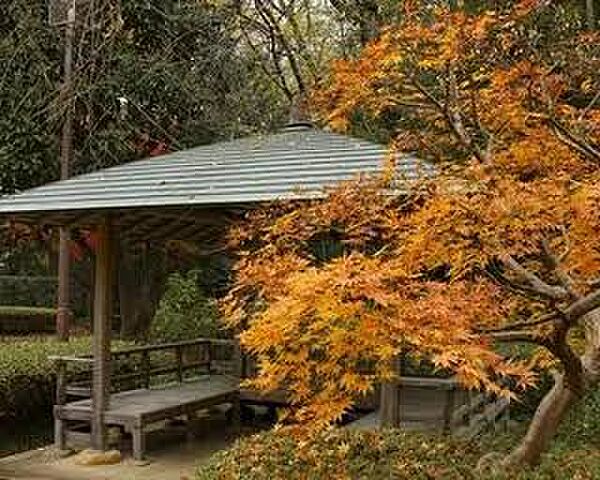 周辺を拡大表示