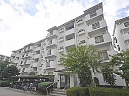 光が丘パークタウン大通り七番街