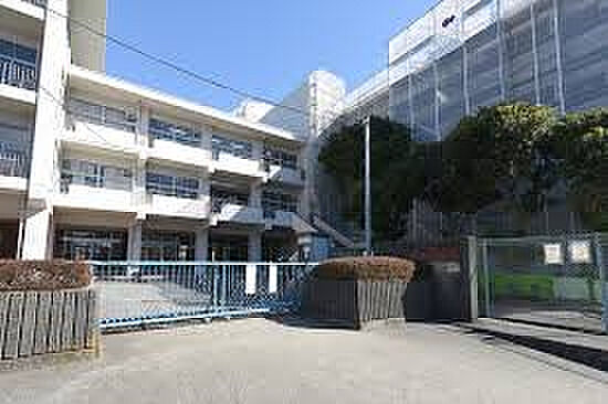 【小学校】鎌倉市立関谷小学校まで1165ｍ